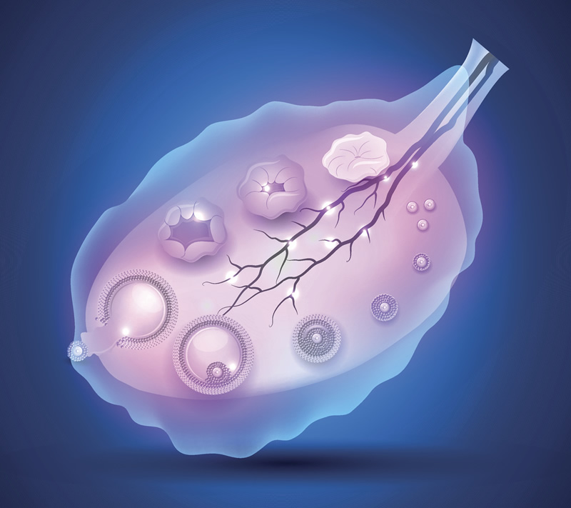 试管婴儿哪里的医院最专业试管婴儿在哪家医院做的好